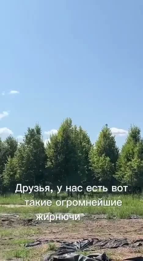 Уход за растениями